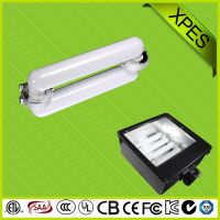 (yng)V|Ͷ 2*150W(chng)Ͷ  XP-FG-509