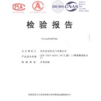 钢质乙级单开防火门检验报告
