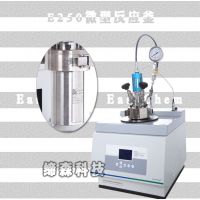 供应25ml机械搅拌台式高压反应釜