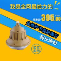 BFS400防爆壁式排風(fēng)扇BFS防爆壁式排風(fēng)扇防爆墻壁式軸流風(fēng)機(jī)FAG