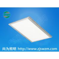 SW1151 300*600 LED