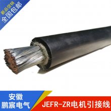 JEFR-1*95͸ ͸׵