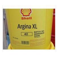 出售原装壳牌爱力能XL40柴油发动机油 Shell Argina XL40Oil