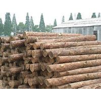 ൺش˾/ൺ۽ڴľıر