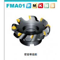 株洲面铣刀具 株洲可转位铣削刀具FMA01-050-A22-SE12-04