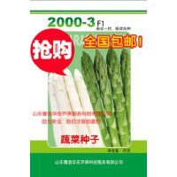 特色蔬菜良种 种苗 芦笋种子国产种子种子杂交种子25克/袋