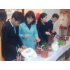 ӦDIYӳ   ˱ ֲDIY۸