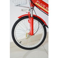 /FLIVE¿綯 ﮵г ֳ̼48Vݵ綯 Զ20