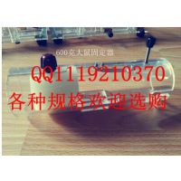 600克超大鼠固定器/600克大鼠固定盒/大白鼠固定装置