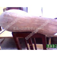 供应丰蜜秘本南瓜