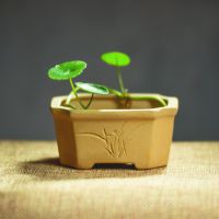 宜兴厂家御龙批发/中式段泥长方紫砂花盆/桌面摆件/精致小巧