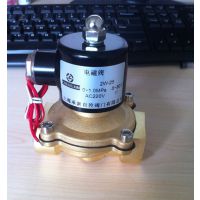 2W160-15黄铜电磁阀