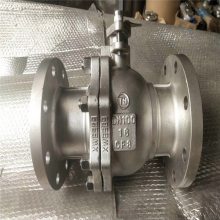 Q41F-25P (304 CF8)DN100 ֱַϸֱͨ