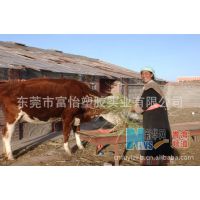 供应甘肃天祝县PE万通板 3mmPE万通板（辽宁 吉林 内蒙古）