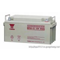 Ӧǳش NPL65-12ǳ12V