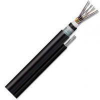 GYTC8S-4B1ṹ