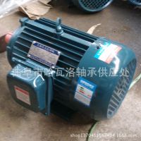 750KW 4级低速三相电动机 ；纯铜芯国标电机 经济适用。