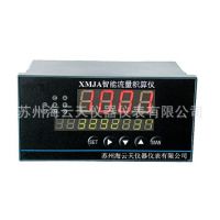 XMGA-2000ʾ˫2·24V4~20mA