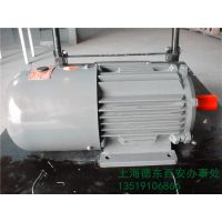 上海德东电机厂 （YEJ2 100L2-4 3KW） 