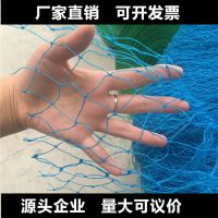 ֱֳ 춥 Χ  Χ  ֻӦ
