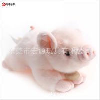 ݸë޷ Ʒڼ 涯 ë޷ɫɰ