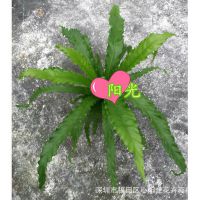 ڻ̻ǽֲ-΢ֲ110#Ҷާ