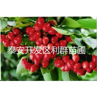 Ӧ2ӣ 2ӣ۸ ӣ 1-15ӣ