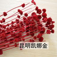 ʻݸɲ Сƹ ֹDIYƷ 6ɫѡ