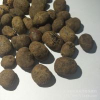 云南元宝星月菩提 高密度 原料原籽星月原籽通货批发 一手货源