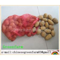 Ӧchinese holland potato in 2013