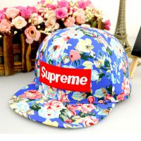 ൺP002SupremeͯñʱгñӶ