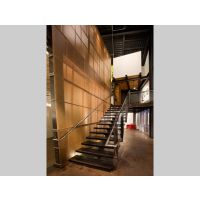 linea ochre,3formв֬壬͸壬Ϻֱ