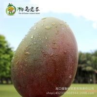 椰岛老农 海南芒果 新鲜水果 凯特 批发 澳芒 10斤 优质 澳芒