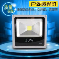 LEDͶ