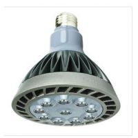 ˼LED PAR38