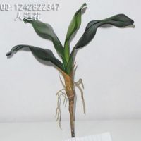 批发仿真花卉 假花塑料绢花过胶中蝴蝶兰叶 插花搭配饰品