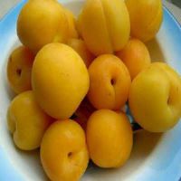 Ӱֲ