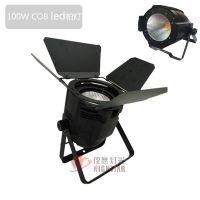 COB100WLED