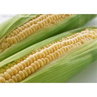 ׳