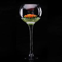 bingyi:透明玻璃水培落地大花瓶/婚庆软装高脚杯/水族玻璃鱼缸
