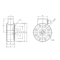 MR-20N-251شձѺSHOWAֱ