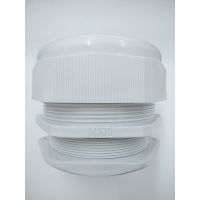  M100X2.5¹̶ͷ M100ͷ 