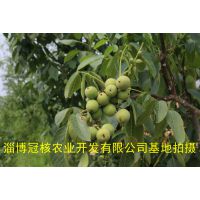 ӦںһʺҼ޽磬Ƥ磬