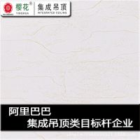厂家批发集成吊顶扣板 集成吊顶板材 铝扣板 砂纹金碧玉