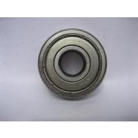 6019