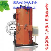 ȫԶȼͣȼ¯NBS0.3-0.7  300kg/h