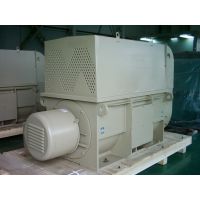大型三相绕线电机YRKK4003-4  315KW 6KV高压三相异步电机