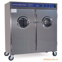 RTP1280 大型两门双门远红外线高温消毒柜餐具消毒柜烘干柜烘烤炉