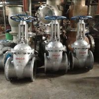 բբZ41H-16C DN450բ 㽭طų