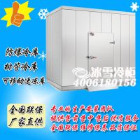 防爆/可移动冷库 微型冷库 冷库设备 低温冷库 深圳冰雪 冷库